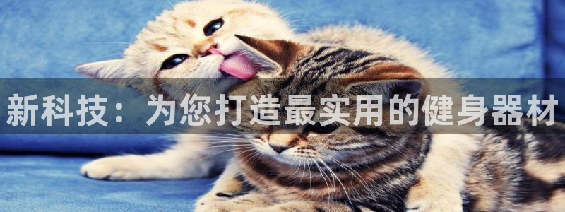 意昂2平台